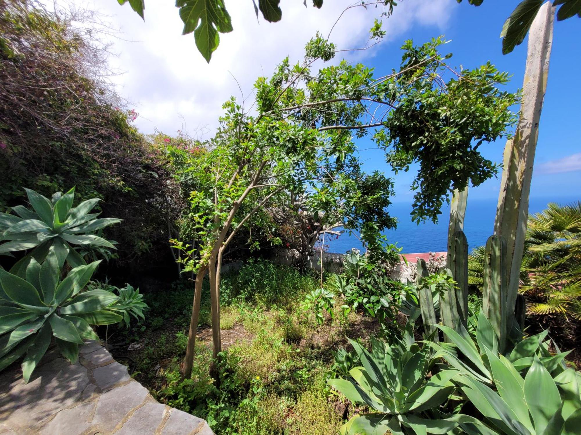 Willkommen Im Paradies - Welcome In Paradise - Bienvenidos Al Paraiso La Matanza De Acentejo Exterior foto